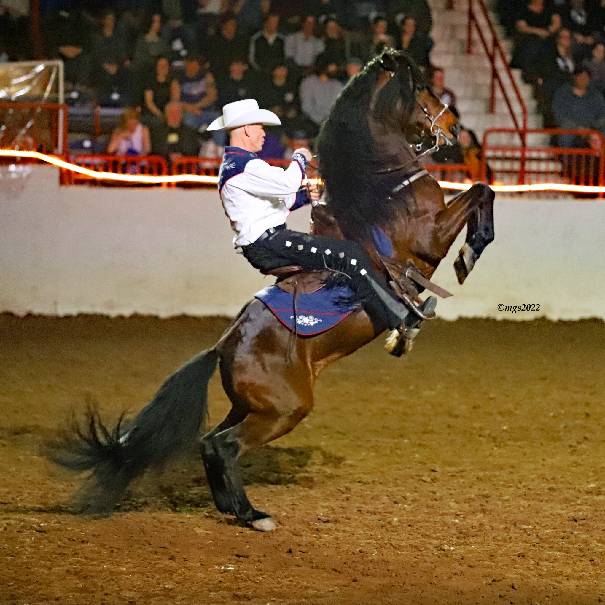 Horse World Expo Jeff Wilson Horsemanship